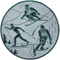 Emblem Ski-Kombination Ø50 gold