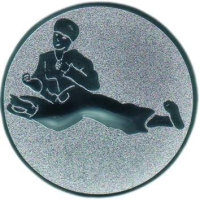 Emblem Teakwondo Ø25 bronze