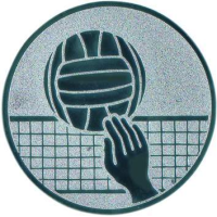 Emblem Volleyball Ø25 bronze