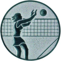Emblem Volleyball Ø25 silber