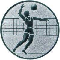 Emblem Volleyball Ø25 silber