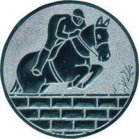 Emblem Reiten Ø50 bronze