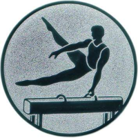Emblem Turnen Ø25 bronze